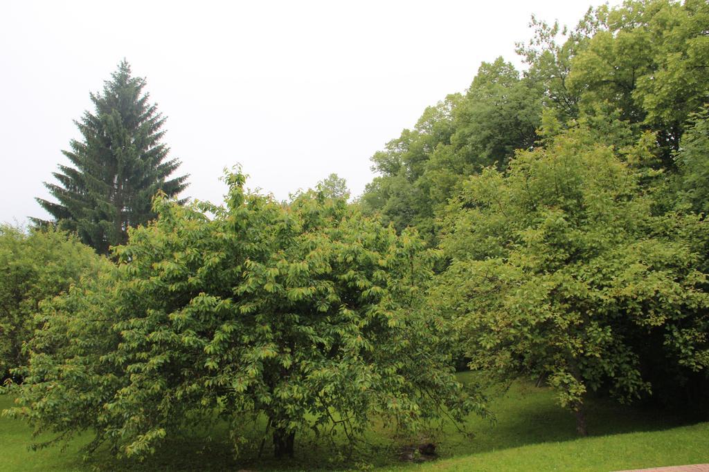 Holiday Home Maison De La Litiere Pugny-Chatenod 部屋 写真